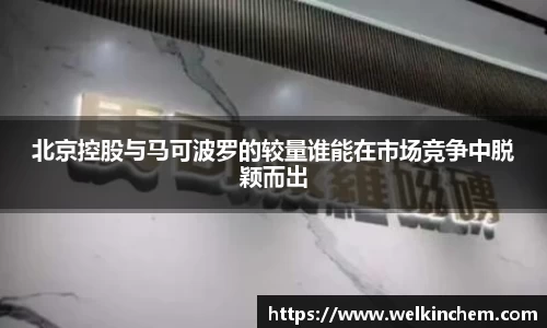 北京控股与马可波罗的较量谁能在市场竞争中脱颖而出