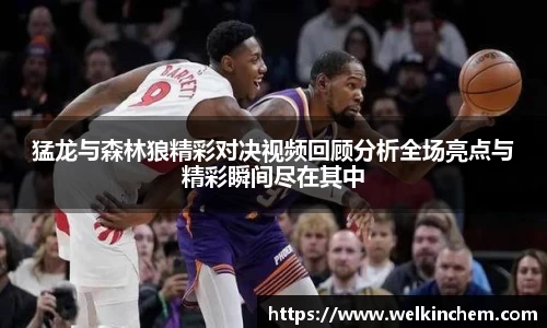 猛龙与森林狼精彩对决视频回顾分析全场亮点与精彩瞬间尽在其中