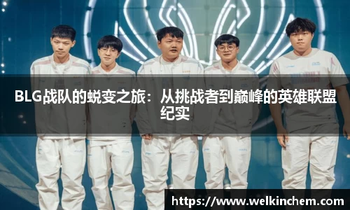 BLG战队的蜕变之旅：从挑战者到巅峰的英雄联盟纪实