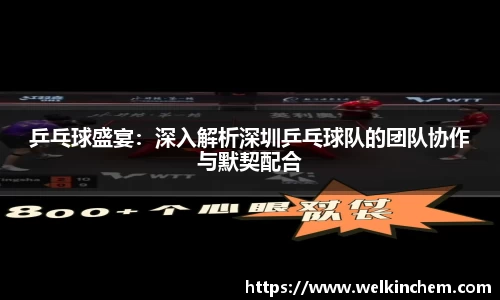 乒乓球盛宴：深入解析深圳乒乓球队的团队协作与默契配合